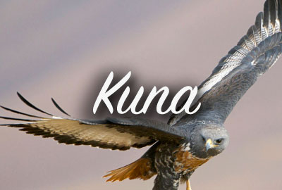 Kuna Idaho